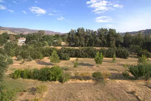 17058 Rd 57, Guinda, CA 95637 - Photo 67