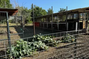 17058 Rd 57, Guinda, CA 95637 - Photo 79