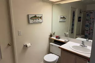 17058 Rd 57, Guinda, CA 95637 - Photo 49