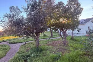 3696 3696 Neal Rd, Paradise, CA 95969 - Photo 33