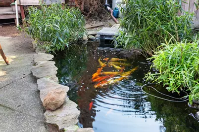 4838 Robertson Avenue, Carmichael, CA 95608 - Photo 43