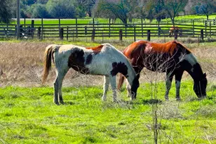 9862 Whalen Rd, Wallace, CA 95252 - Photo 1