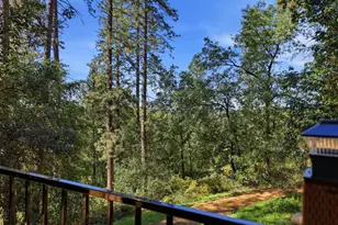 1700 Sanromo Dr, Greenwood, CA 95635 - Photo 57