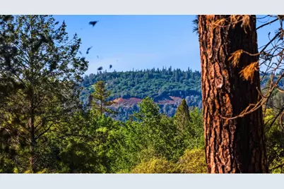 1700 Sanromo Drive, Greenwood, CA 95635 - Photo 91