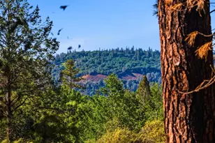 1700 Sanromo Dr, Greenwood, CA 95635 - Photo 91