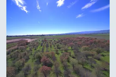 27550 County Road 88, Winters, CA 95694 - Photo 15