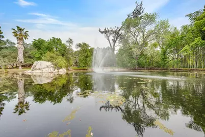 5475 Laird Road, Loomis, CA 95650 - Photo 89