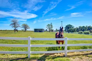 19699 Co Rd 94A, Woodland, CA 95695 - Photo 67