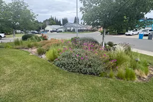 1419 Johnathan Dr, Yuba City, CA 95993 - Photo 5