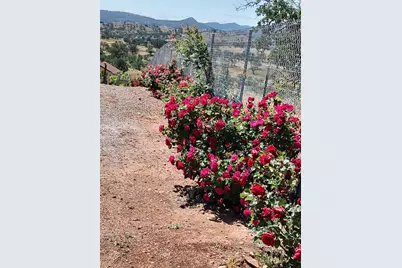 25837 County Road 34, Winters, CA 95694 - Photo 81