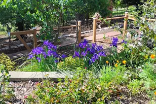 25837 Co Rd 34, Winters, CA 95694 - Photo 83