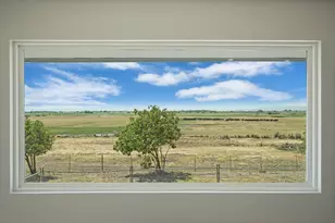 2650 Twitchell Island Rd, Rio Vista, CA 94571 - Photo 11