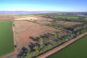 21000 Co Rd 95, Woodland, CA 95695 - Photo 41