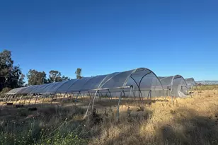 21000 Co Rd 95, Woodland, CA 95695 - Photo 21