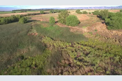 21000 County Road 95, Woodland, CA 95695 - Photo 47