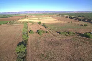 21000 Co Rd 95, Woodland, CA 95695 - Photo 43