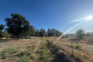 21000 Co Rd 95, Woodland, CA 95695 - Photo 33