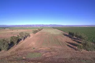 21000 Co Rd 95, Woodland, CA 95695 - Photo 51