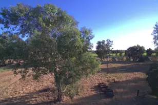 21000 Co Rd 95, Woodland, CA 95695 - Photo 37