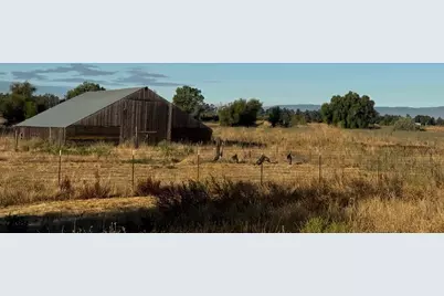 21000 County Road 95, Woodland, CA 95695 - Photo 13
