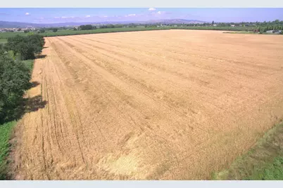 0 County Road 86A, Esparto, CA 95627 - Photo 3