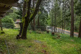 11528 Pine Cone Dr, Kyburz, CA 95720 - Photo 13