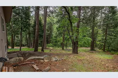 11528 Pine Cone Drive, Kyburz, CA 95720 - Photo 11