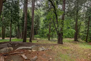 11528 Pine Cone Dr, Kyburz, CA 95720 - Photo 11