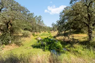 1484 Oregon Gulch Rd, Oroville, CA 95965 - Photo 23