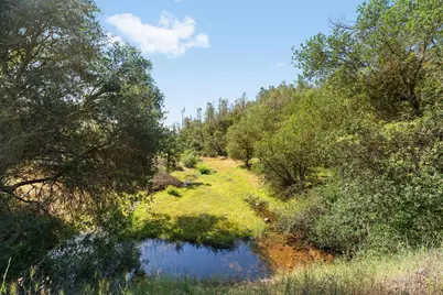 1484 Oregon Gulch Road, Oroville, CA 95965 - Photo 39