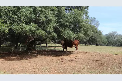 1484 Oregon Gulch Road, Oroville, CA 95965 - Photo 69