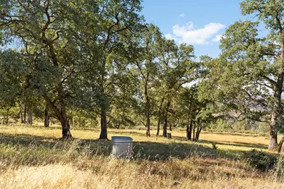 1484 Oregon Gulch Road, Oroville, CA 95965 - Photo 5