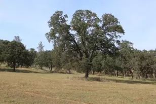 1484 Oregon Gulch Rd, Oroville, CA 95965 - Photo 57