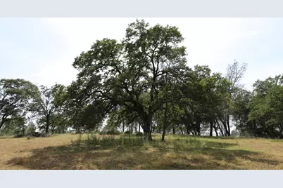 1484 Oregon Gulch Road, Oroville, CA 95965 - Photo 59