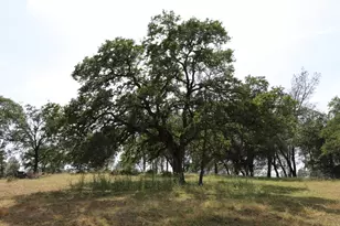 1484 Oregon Gulch Rd, Oroville, CA 95965 - Photo 59
