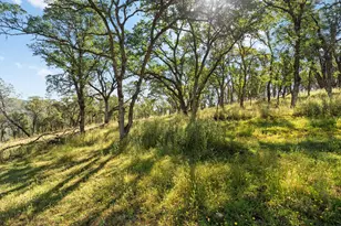 1484 Oregon Gulch Rd, Oroville, CA 95965 - Photo 21