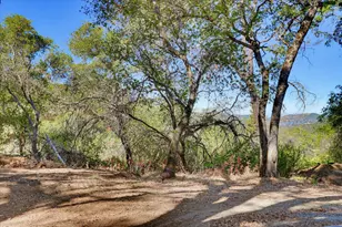 12220 Meadow View Way, Rough and Ready, CA 95975 - Photo 57