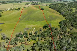 18063 County Road 70, Brooks, CA 95606 - Photo 53