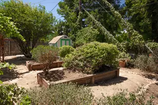 769 M St, Davis, CA 95616 - Photo 45