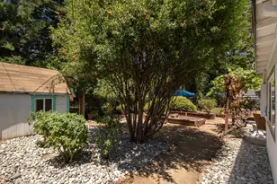 769 M St, Davis, CA 95616 - Photo 43