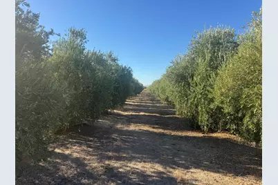 15185 County Road 42, Guinda, CA 95637 - Photo 9