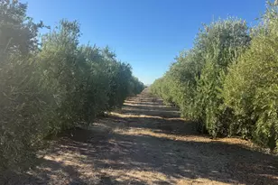 15185 Co Rd 42, Guinda, CA 95637 - Photo 9