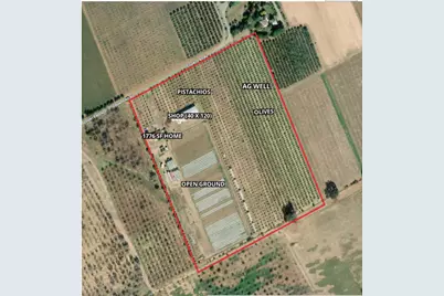 15185 County Road 42, Guinda, CA 95637 - Photo 3