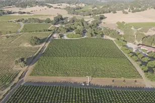 21215 Shenandoah School Rd, Plymouth, CA 95669 - Photo 41