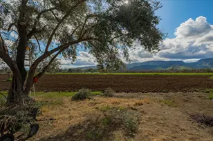 17000 County Road 52, Guinda, CA 95637 - Photo 5