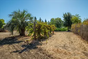 36100 Russell Blvd, Davis, CA 95616 - Photo 45