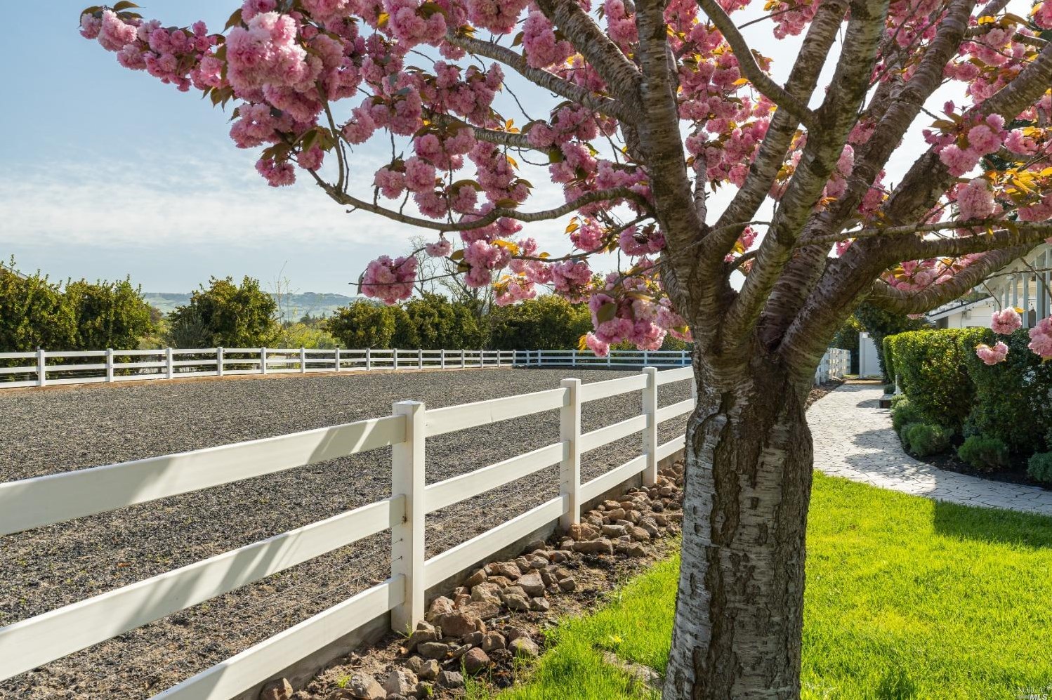 1030 Thompson Ln, Petaluma CA  94952-1242 exterior