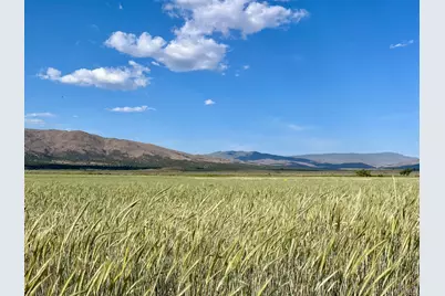 425 Constantia Road, Doyle, CA 96109 - Photo 45