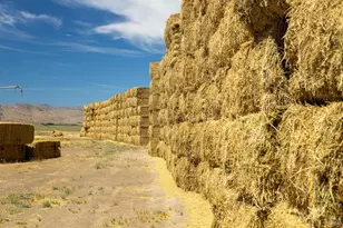 425 Constantia Rd, Doyle, CA 96109 - Photo 9