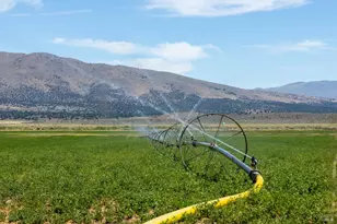 425 Constantia Rd, Doyle, CA 96109 - Photo 11